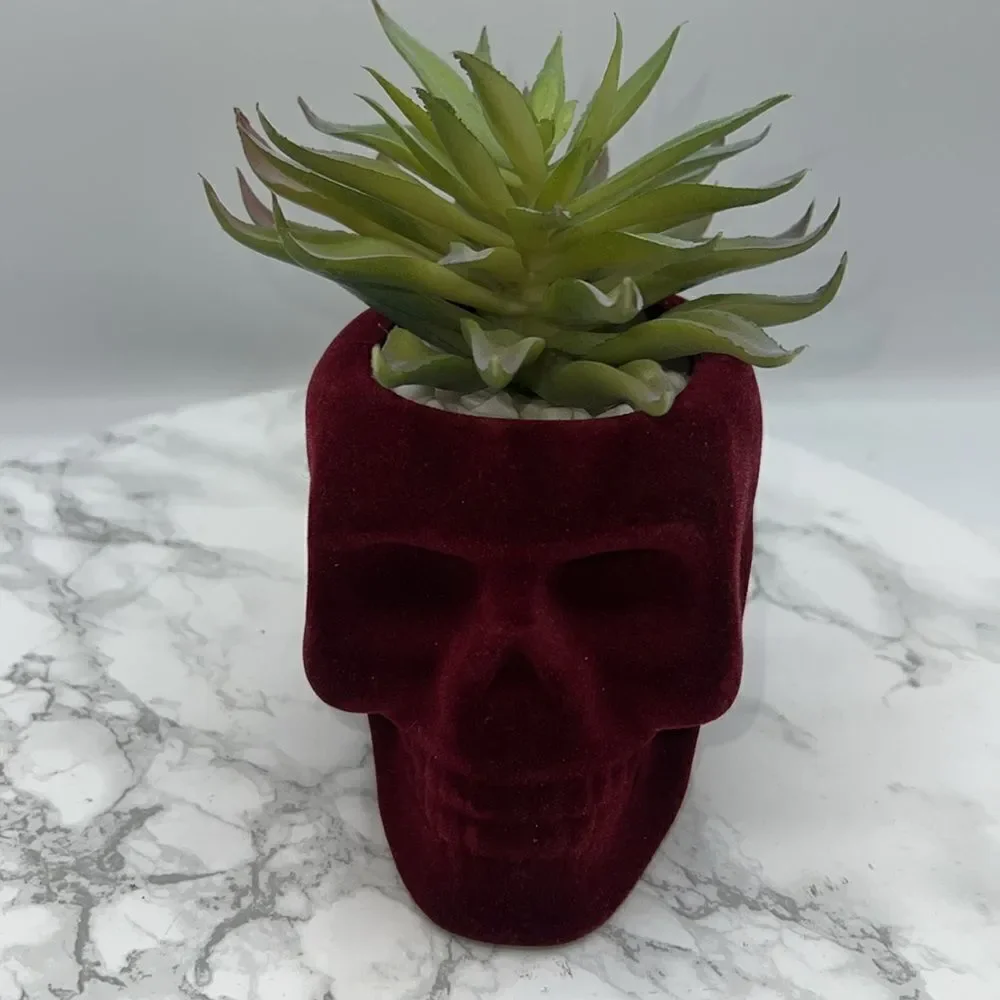 FLORA BUNDA Flocked Velvet Skull Planter with Artificial Succulent